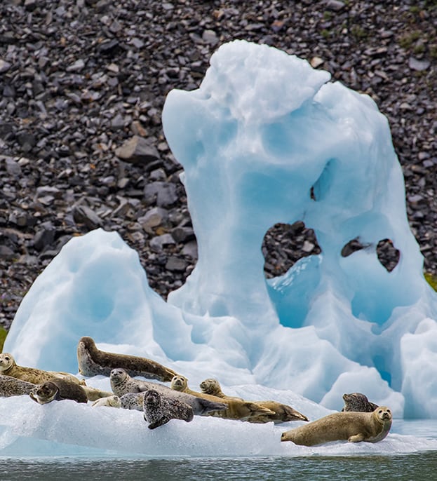 Kenai Fjords Glacier Lodge - Alaska Wildland Adventures