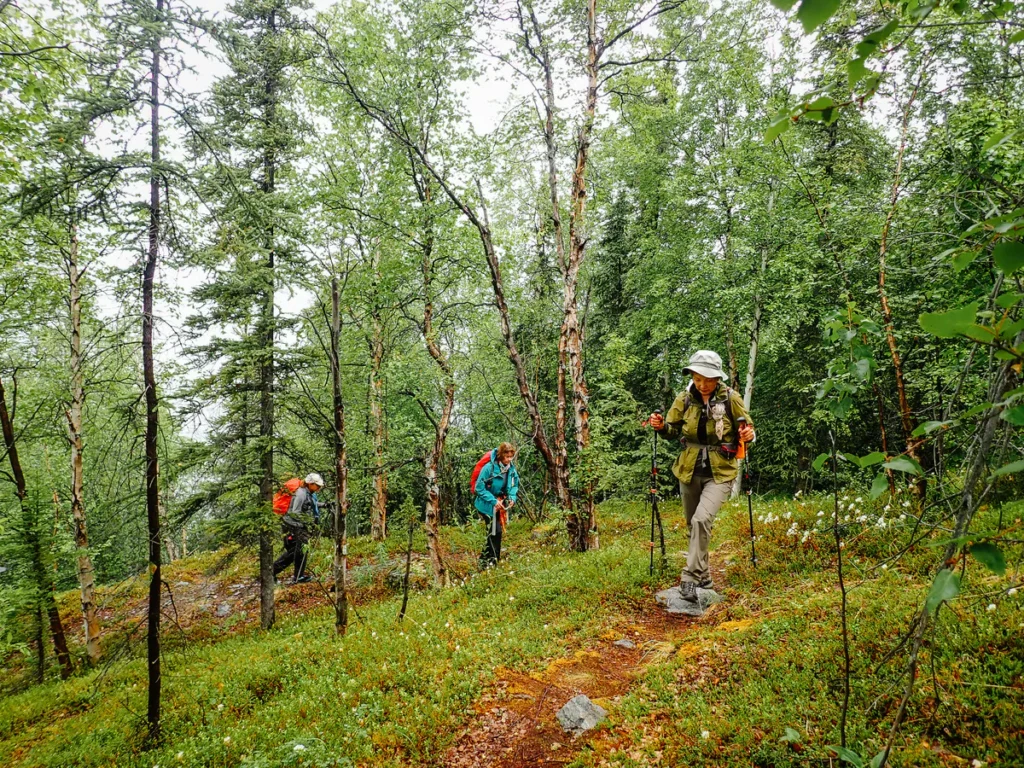 Hiking on the Kenai Peninsula, previously part of an REI Adventures trip