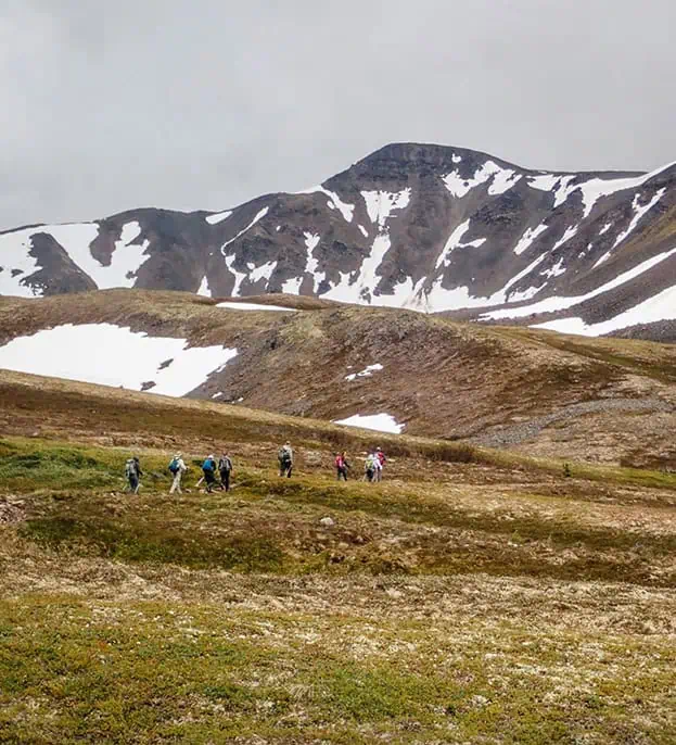 Hiking in Denali National Park, previously part of an REI Adventures trip